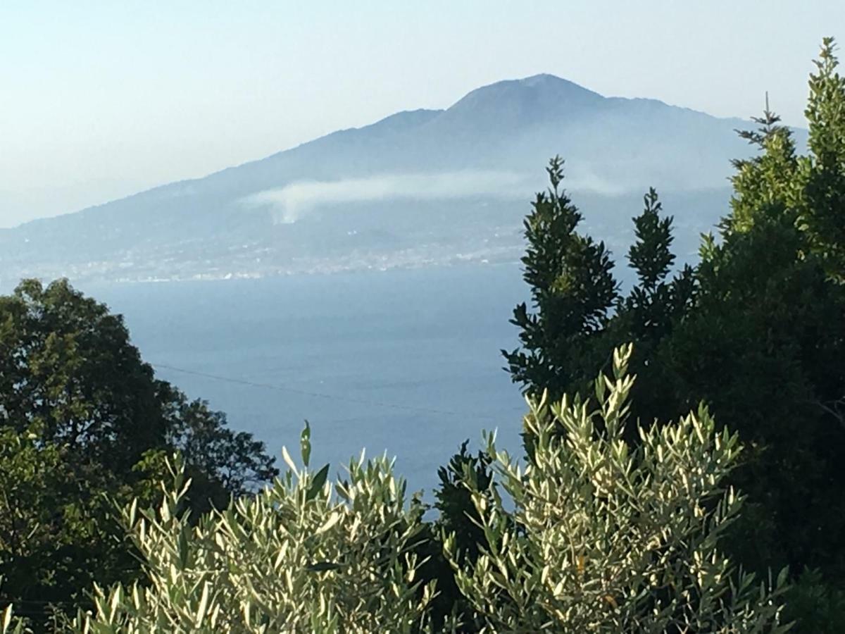 SantʼAgata sui Due Golfi Villa Annabelle المظهر الخارجي الصورة